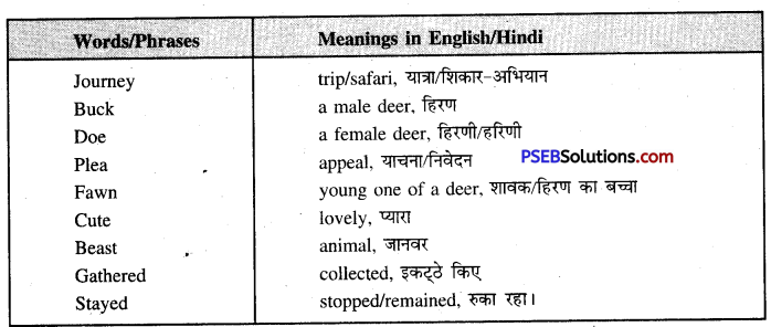 PSEB 7th Class English Solutions Poem 2 The Hunter and the Deer 16