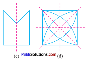 PSEB 7th Class Maths Solutions Chapter 14 Symmetry Ex 14.1 10
