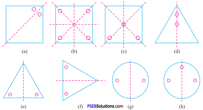 PSEB 7th Class Maths Solutions Chapter 14 Symmetry Ex 14.1 12