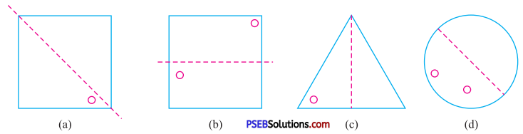 PSEB 7th Class Maths Solutions Chapter 14 Symmetry Ex 14.1 13