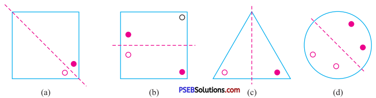 PSEB 7th Class Maths Solutions Chapter 14 Symmetry Ex 14.1 14