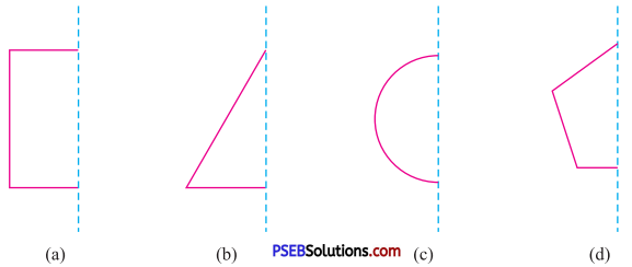PSEB 7th Class Maths Solutions Chapter 14 Symmetry Ex 14.1 15