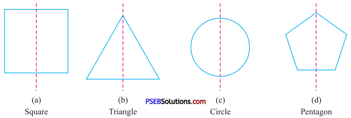 PSEB 7th Class Maths Solutions Chapter 14 Symmetry Ex 14.1 16