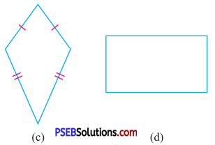 PSEB 7th Class Maths Solutions Chapter 14 Symmetry Ex 14.1 4