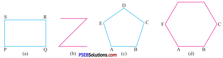 PSEB 7th Class Maths Solutions Chapter 14 Symmetry Ex 14.2 1
