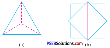 PSEB 7th Class Maths Solutions Chapter 14 Symmetry Ex 14.3 1