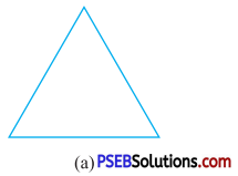 PSEB 7th Class Maths Solutions Chapter 14 Symmetry Ex 14.3 2