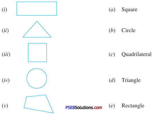 PSEB 7th Class Maths Solutions Chapter 15 Visualising Solid Shapes Ex 15.1 1