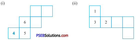 PSEB 7th Class Maths Solutions Chapter 15 Visualising Solid Shapes Ex 15.1 11
