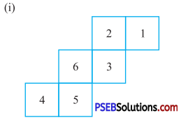 PSEB 7th Class Maths Solutions Chapter 15 Visualising Solid Shapes Ex 15.1 12