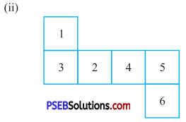 PSEB 7th Class Maths Solutions Chapter 15 Visualising Solid Shapes Ex 15.1 13