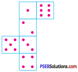 PSEB 7th Class Maths Solutions Chapter 15 Visualising Solid Shapes Ex 15.1 14