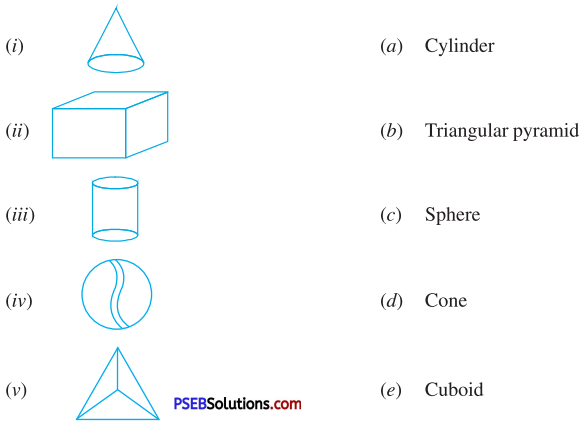 PSEB 7th Class Maths Solutions Chapter 15 Visualising Solid Shapes Ex 15.1 2
