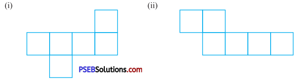 PSEB 7th Class Maths Solutions Chapter 15 Visualising Solid Shapes Ex 15.1 3