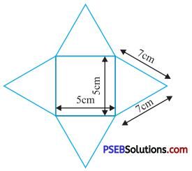 PSEB 7th Class Maths Solutions Chapter 15 Visualising Solid Shapes Ex 15.1 5