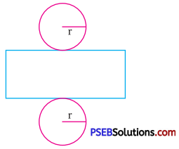 PSEB 7th Class Maths Solutions Chapter 15 Visualising Solid Shapes Ex 15.1 7