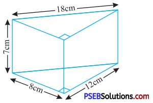 PSEB 7th Class Maths Solutions Chapter 15 Visualising Solid Shapes Ex 15.1 8
