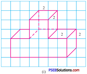 PSEB 7th Class Maths Solutions Chapter 15 Visualising Solid Shapes Ex 15.2 1