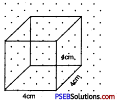 PSEB 7th Class Maths Solutions Chapter 15 Visualising Solid Shapes Ex 15.2 10