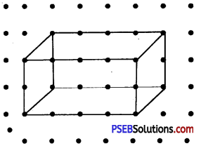 PSEB 7th Class Maths Solutions Chapter 15 Visualising Solid Shapes Ex 15.2 12
