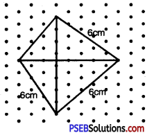 PSEB 7th Class Maths Solutions Chapter 15 Visualising Solid Shapes Ex 15.2 14