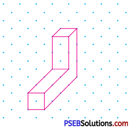 PSEB 7th Class Maths Solutions Chapter 15 Visualising Solid Shapes Ex 15.2 16