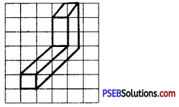 PSEB 7th Class Maths Solutions Chapter 15 Visualising Solid Shapes Ex 15.2 17