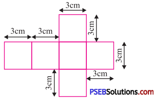 PSEB 7th Class Maths Solutions Chapter 15 Visualising Solid Shapes Ex 15.2 20