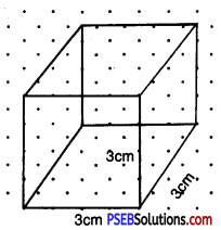 PSEB 7th Class Maths Solutions Chapter 15 Visualising Solid Shapes Ex 15.2 21