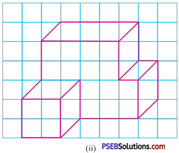 PSEB 7th Class Maths Solutions Chapter 15 Visualising Solid Shapes Ex 15.2 3