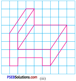 PSEB 7th Class Maths Solutions Chapter 15 Visualising Solid Shapes Ex 15.2 5