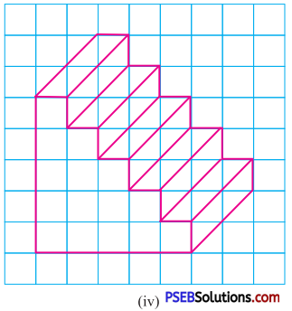 PSEB 7th Class Maths Solutions Chapter 15 Visualising Solid Shapes Ex 15.2 7