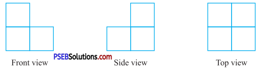 PSEB 7th Class Maths Solutions Chapter 15 Visualising Solid Shapes Ex 15.3 16