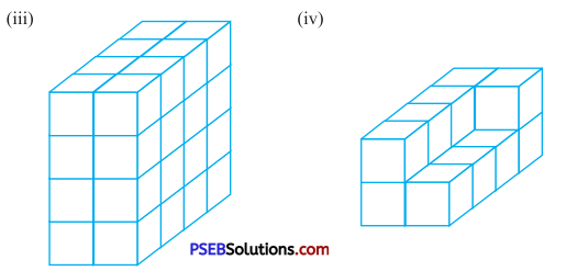 PSEB 7th Class Maths Solutions Chapter 15 Visualising Solid Shapes Ex 15.3 2
