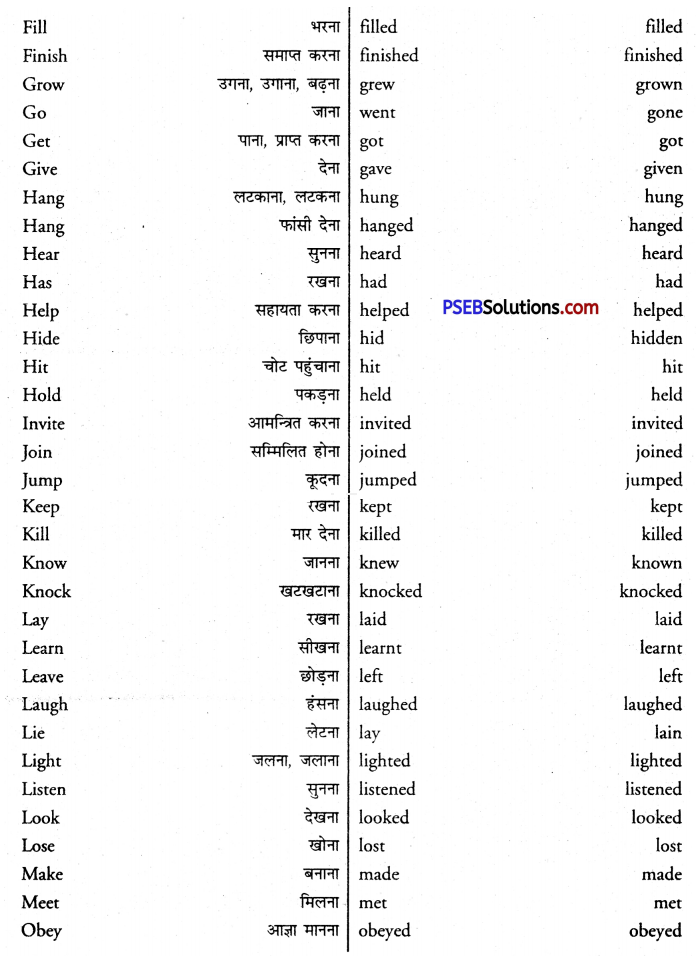 PSEB 8th Class English Grammar The Verb 2