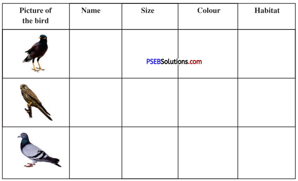 PSEB 8th Class English Solutions Chapter 1 Value of Money 6