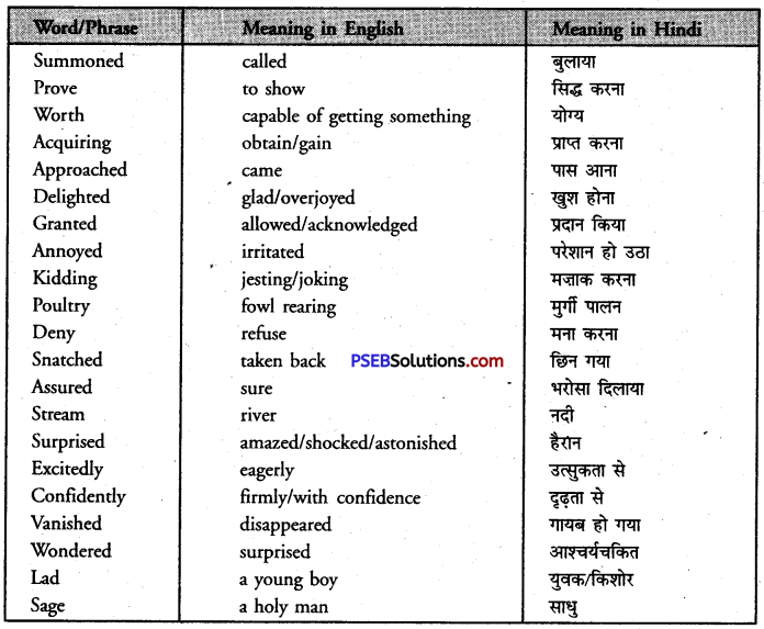PSEB 8th Class English Solutions Chapter 4 The Old Sage and the Brothers 3