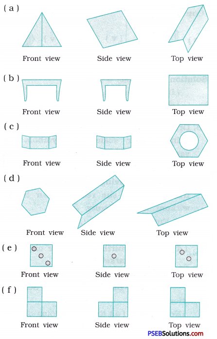 PSEB 8th Class Maths Solutions Chapter 10 Visualising Solid Shapes Ex 10.1 8