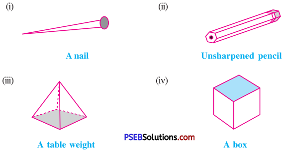 PSEB 8th Class Maths Solutions Chapter 10 Visualising Solid Shapes Ex 10.3 1