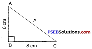 PSEB 8th Class Maths Solutions Chapter 6 Squares and Square Roots Ex 6.4 29