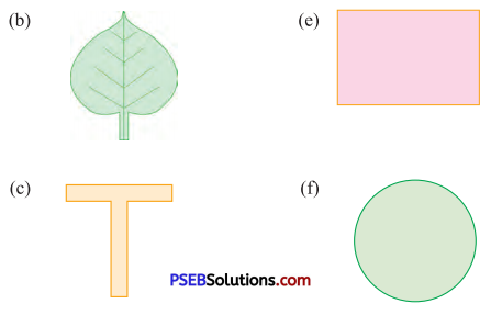 PSEB 4th Class Maths Solutions Chapter 10 Patterns Ex 10.1 20