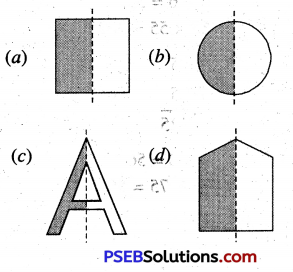 PSEB 4th Class Maths Solutions Chapter 10 Patterns Ex 10.1 23