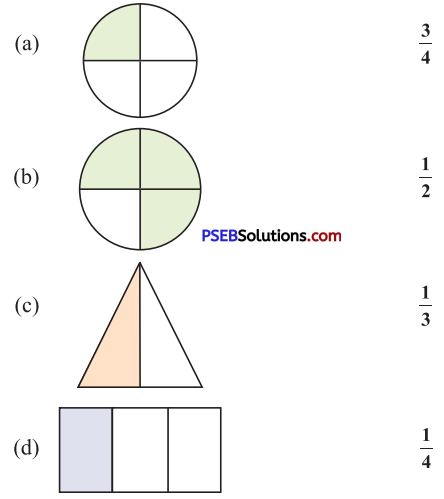 PSEB 4th Class Maths Solutions Chapter 3 Fractional Numbers Ex 3.1 1