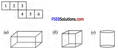 PSEB 4th Class Maths Solutions Chapter 7 Shapes Ex 7.2 1