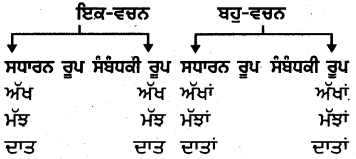 PSEB 4th Class Punjabi Grammar ਵਿਆਕਰਨ 12