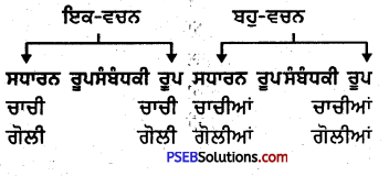 PSEB 4th Class Punjabi Grammar ਵਿਆਕਰਨ 9