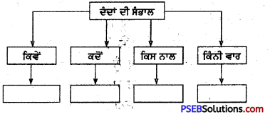 PSEB 4th Class Punjabi Solutions Chapter 13 ਮੱਘੂ ਮਗਰਮੱਛ ਤੇ ਪੰਛੀ 1