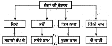 PSEB 4th Class Punjabi Solutions Chapter 13 ਮੱਘੂ ਮਗਰਮੱਛ ਤੇ ਪੰਛੀ 2