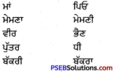 PSEB 4th Class Punjabi Solutions Chapter 5 ਵੀਰੂ ਤੇ ਮੰਗੂ 2
