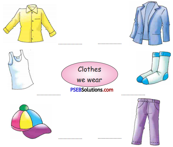 PSEB 5th Class English Solutions Chapter 1 The Elves and the Shoemaker 1